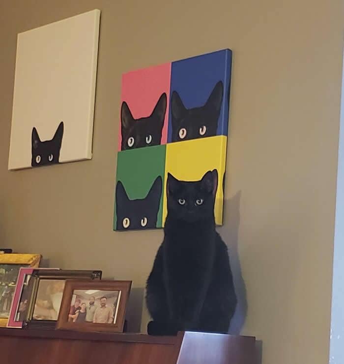 A perfectly timed animal photo of a black cat sitting in front of a pop art painting of black cats.