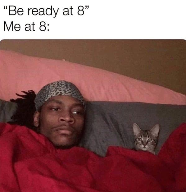 Person and cat staying in bed instead of getting ready in a procrastination meme