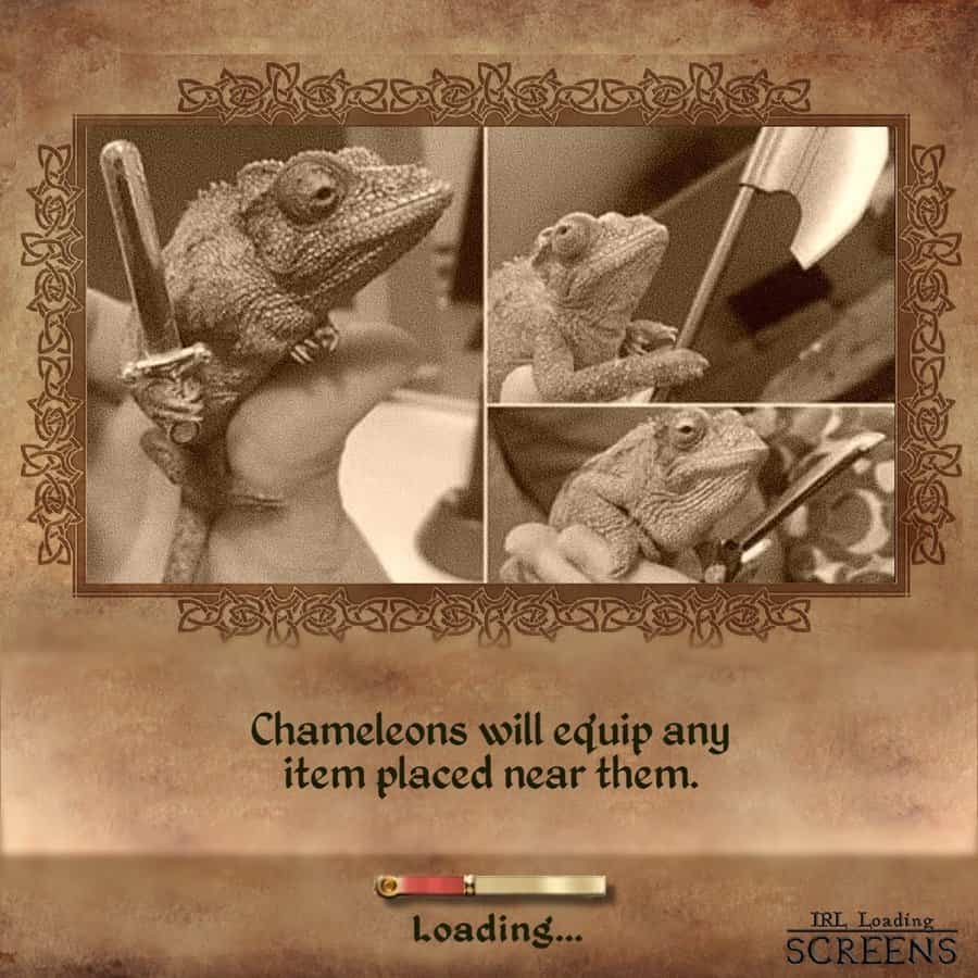 A real life loading screen meme showing a single onion ring in a container of french fries.