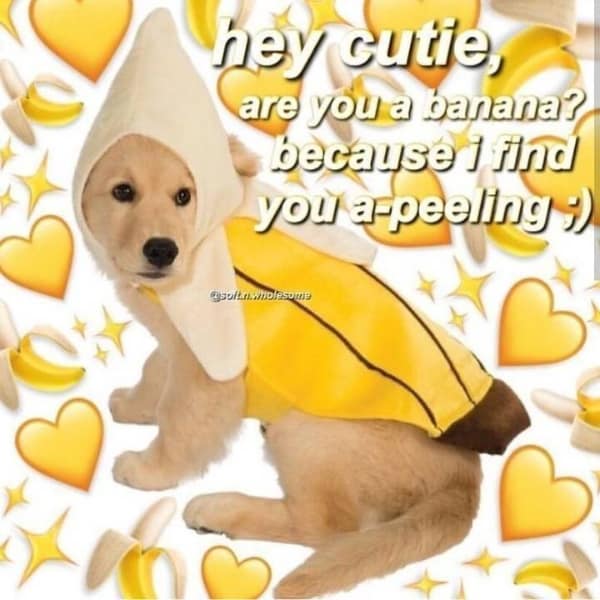 A funny relationship meme of a puppy in a banana costume with a pun about being appealing.