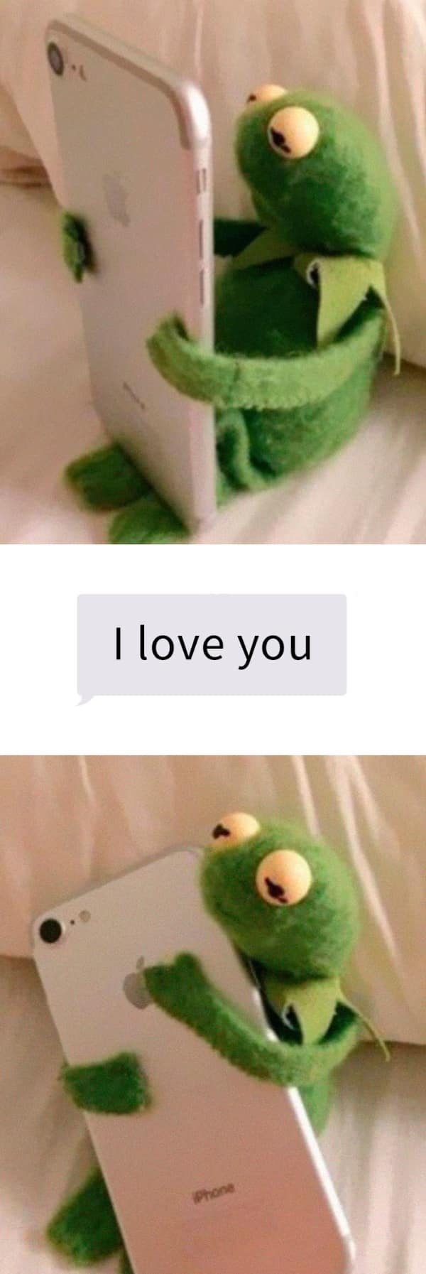 A wholesome couple meme of Kermit the Frog hugging a phone displaying an I Love You text.
