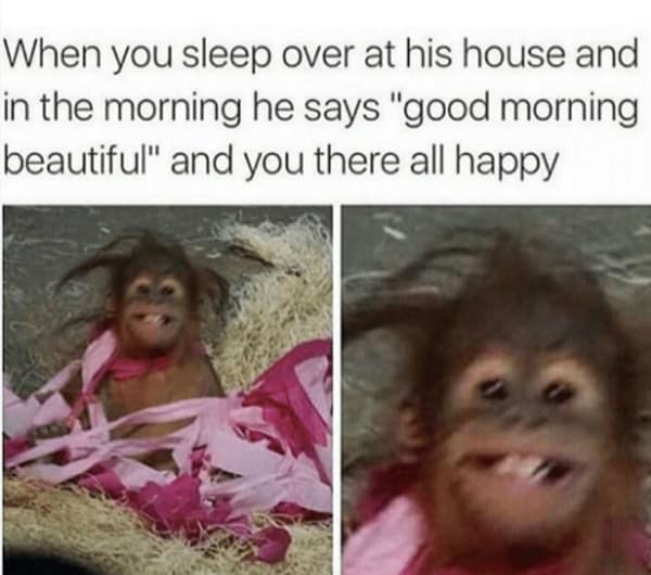 A funny relationship meme comparing expectation vs reality of waking up in the morning.