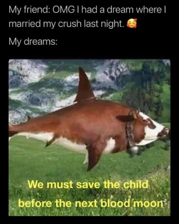 A sleep meme showing a shark-cow hybrid in a field representing bizarre dreams.