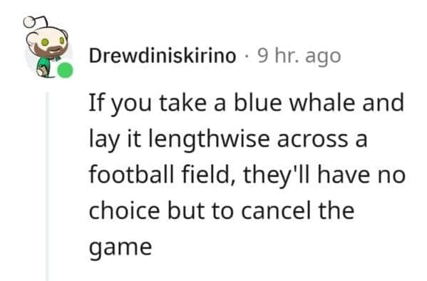A technically correct joke about cancelling a football game if a blue whale is on the field.