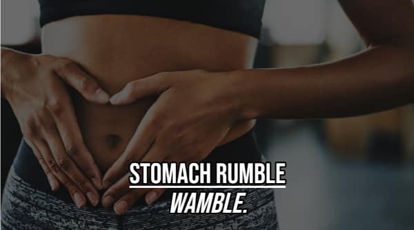 Trivia card defining a stomach rumble as a wamble things you didn't know had a name.