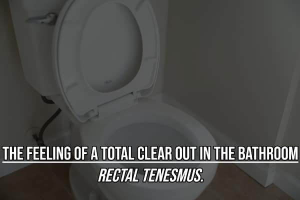 Trivia card defining bathroom clear out feeling as rectal tenesmus things you didn't know had a name.