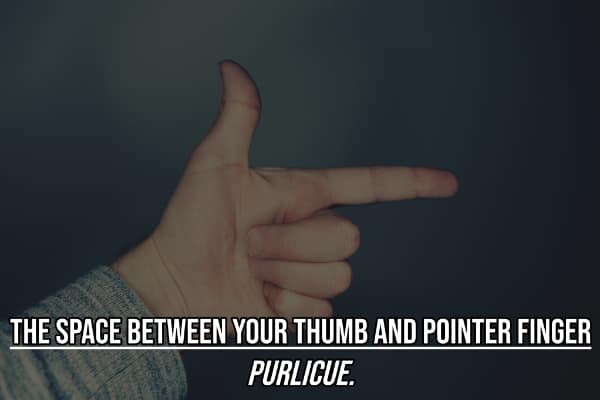 Trivia card defining thumb finger space as purlicue things you didn't know had a name.