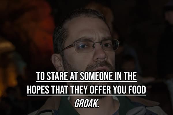 Trivia card defining staring for food as groak things you didn't know had a name.