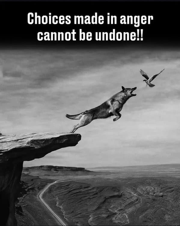 A thought provoking comic of a wolf jumping off a cliff to catch a bird labeled choices made in anger.