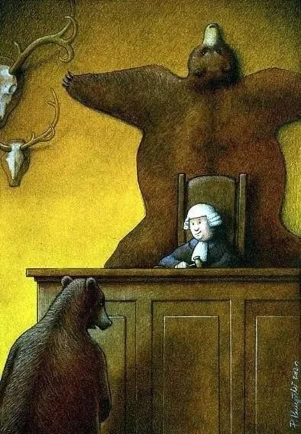 A thought provoking comic showing a bear on trial where the judge is a bearskin rug.