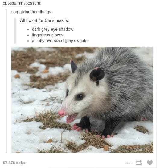 Image of opossum paired with Christmas wish list for grey items matching its fur.