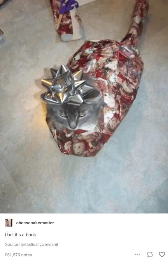Cat wrapped entirely in holiday paper with silver bow on head captioned I bet it's a book.