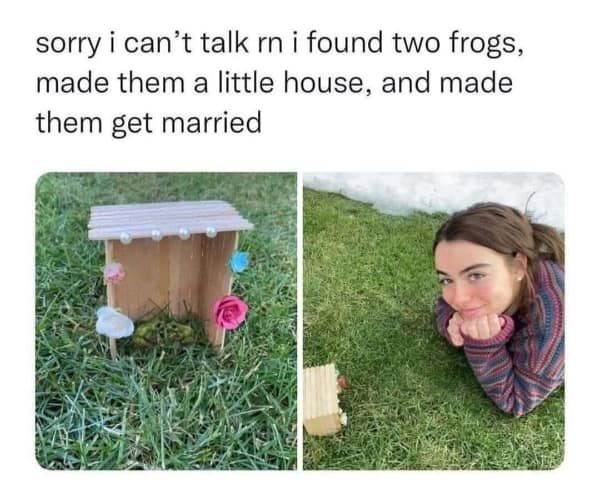 A wholesome meme showing a handmade house built for two frogs to get married.