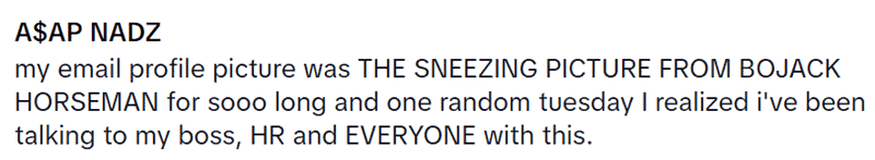 Social media user confessing to accidentally using sneezing Bojack Horseman as email avatar.