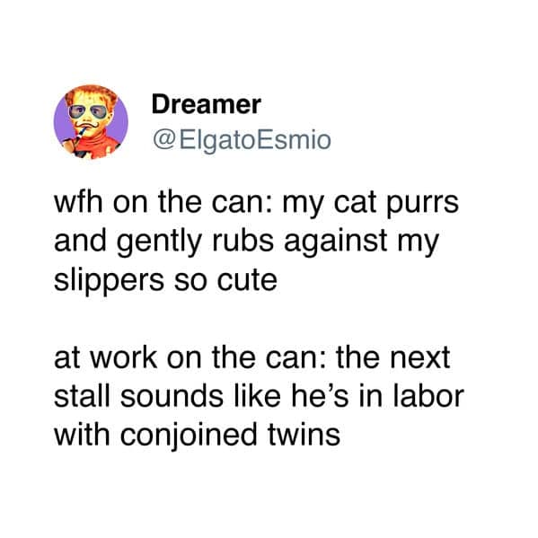 Tweet comparing peaceful WFH bathroom breaks to horrifying sounds in office stalls.