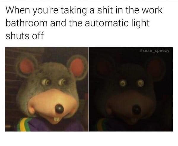 Animatronic mouse staring into darkness in a relatable work meme about bathroom lights.