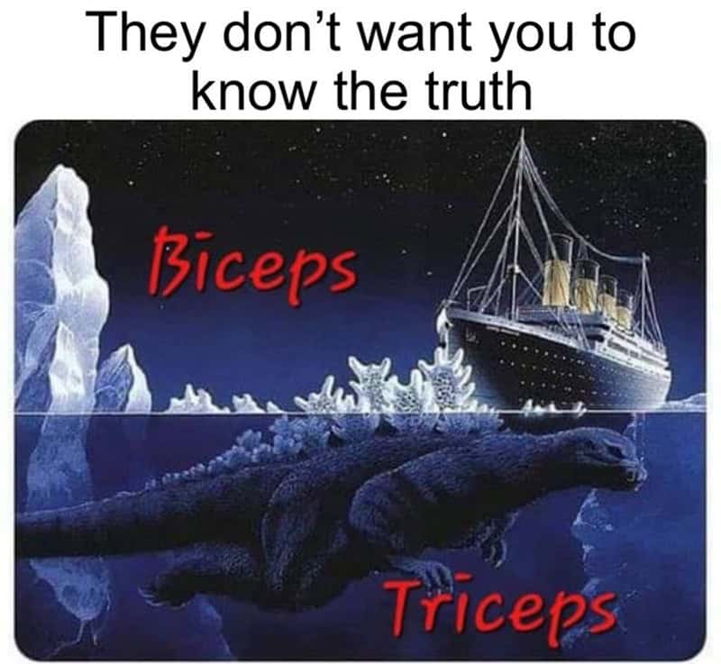 A workout meme comparing biceps to the Titanic and triceps to Godzilla underwater.