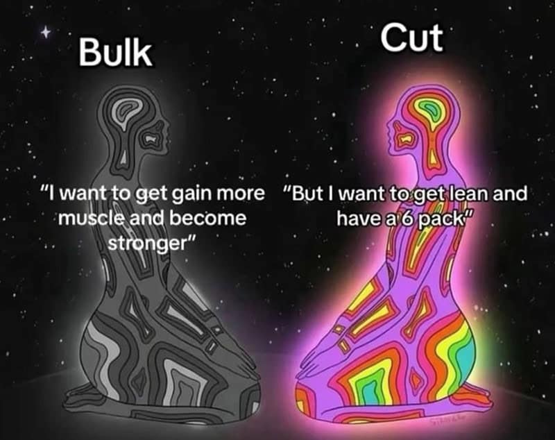 A workout meme showing psychedelic figures representing the bulk vs cut cycle.
