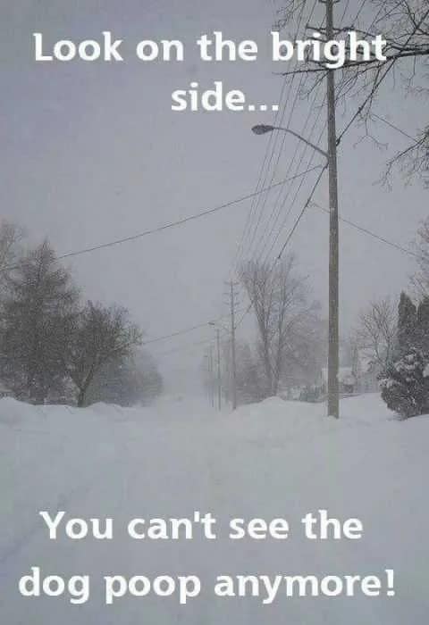 A snowed-in meme of a white-out street scene with text saying "Look on the bright side... You can't see the dog p**p anymore!"