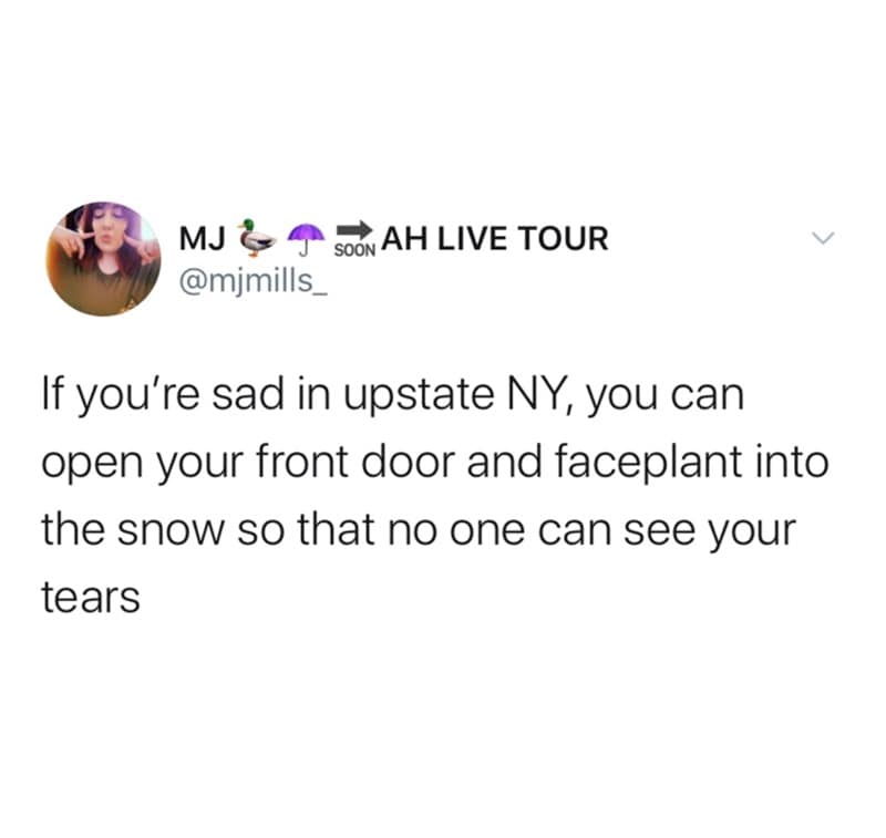 A snow day meme tweet from @mjmills_ about faceplanting into the snow in Upstate NY so no one can see your tears.