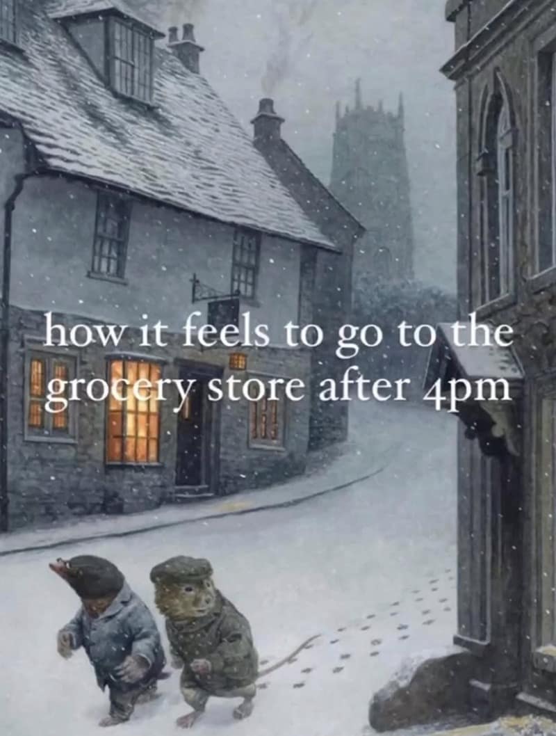 A snowed-in meme illustration of two small animals in coats walking through a blizzard, captioned "how it feels to go to the grocery store after 4pm."