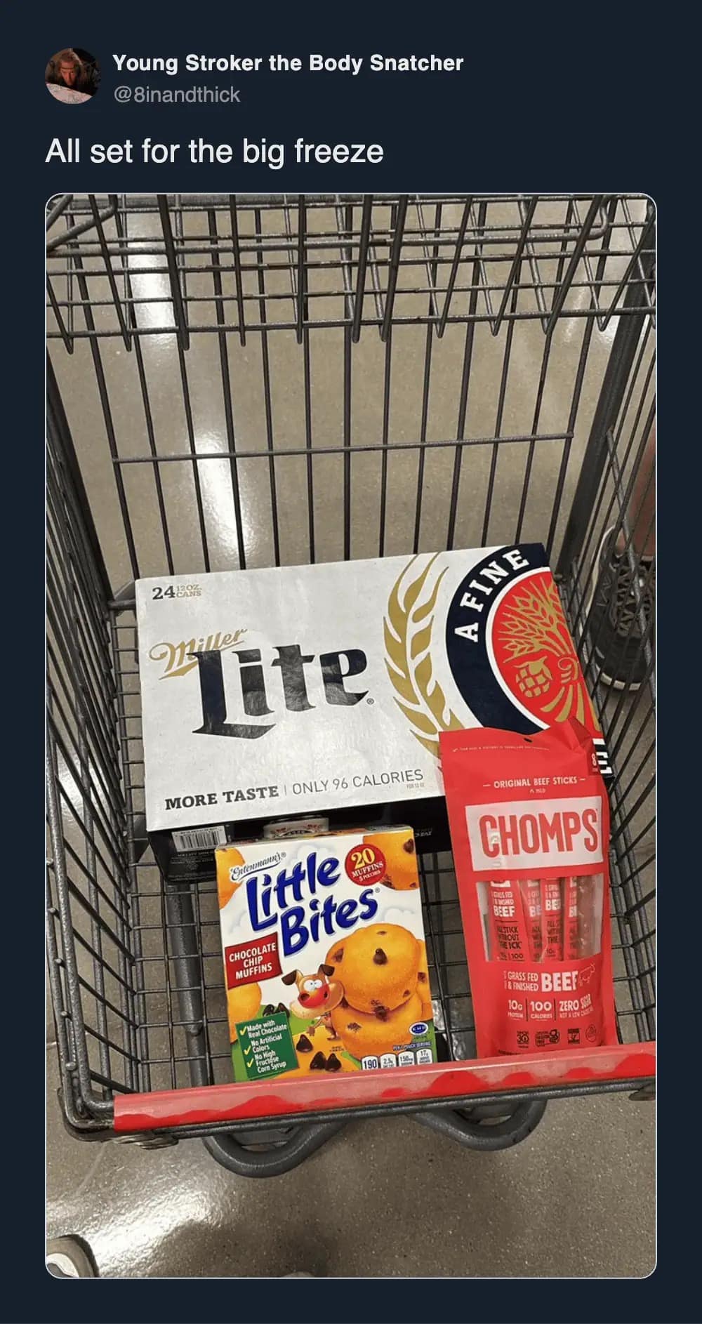 2026 winter storm meme showing a tweet saying “All set for the big freeze” with a shopping cart holding beer, muffins, and beef sticks.