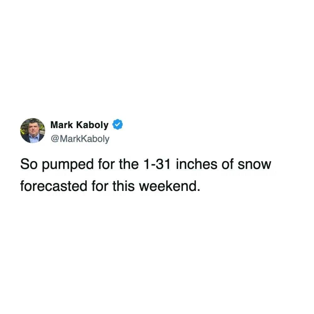 2026 winter storm meme showing a tweet that says “So pumped for the 1-31 inches of snow forecasted for this weekend.”