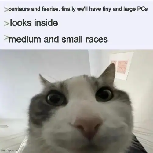 A Dungeons and Dragons meme of a cat looking into a camera complaining about lack of tiny and large player characters.