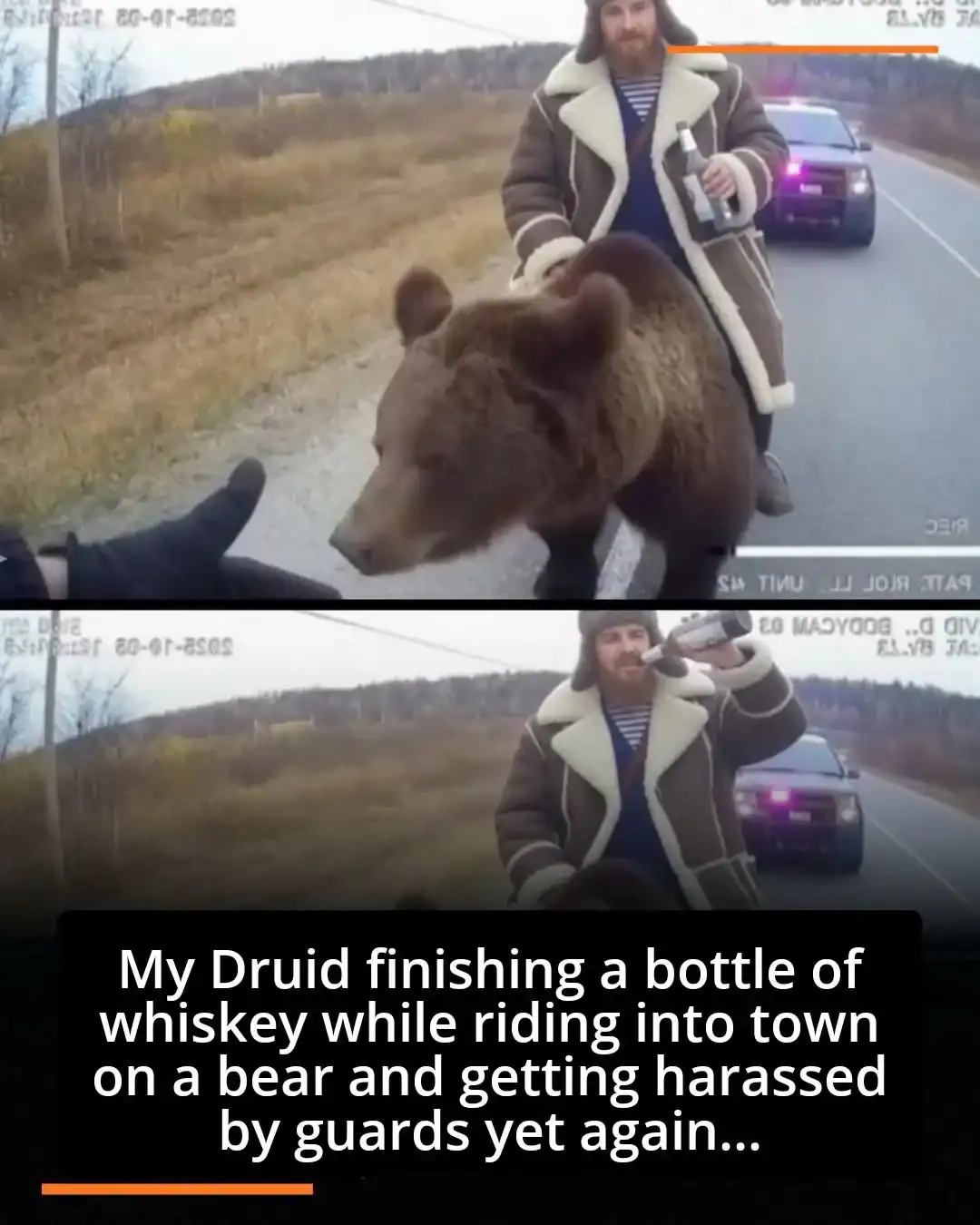 A Dnd meme photo of a man riding a bear while drinking, representing a chaotic druid encountering town guards.