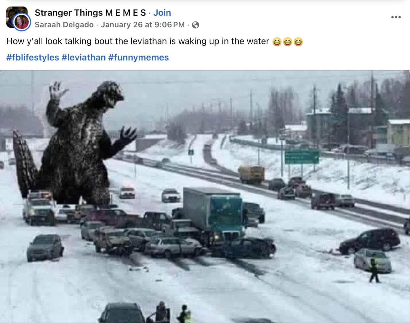 A Leviathan meme from a Stranger Things fan page showing Godzilla standing in snowy highway traffic to represent what people think is happening in Virginia.