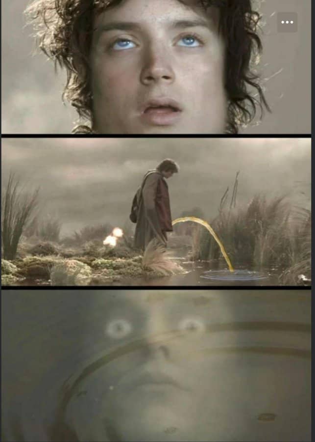 A lotr meme parodying the Dead Marshes scene with Sam creating a puddle for Frodo to stare into.