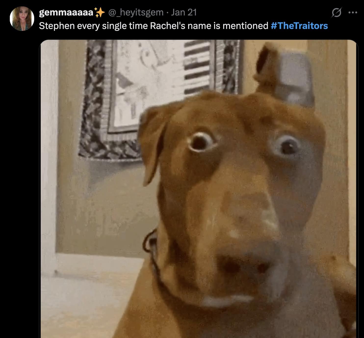 A The Traitors UK meme using a wide-eyed dog to represent Stephen's reaction whenever Rachel's name is mentioned.