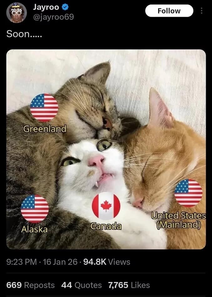 A Trump Greenland meme showing cats representing the US surrounding a scared cat representing Canada.