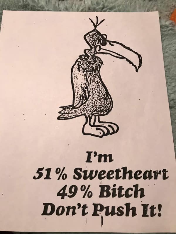 Cartoon vulture stating 51 percent sweetheart 49 percent bitch don't push it ancient memes.
