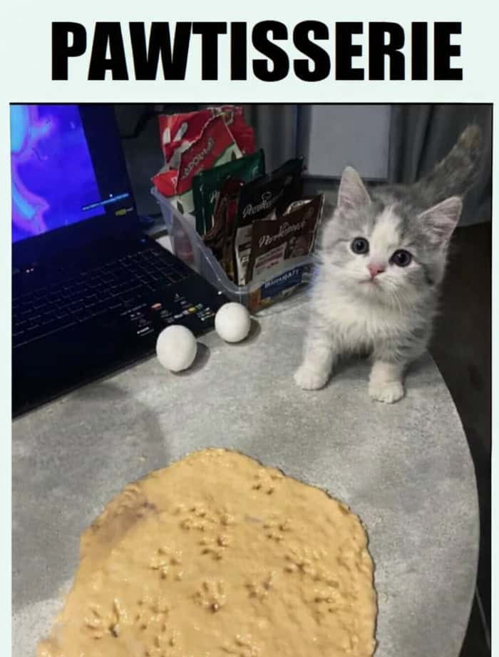 Innocent kitten standing next to cookie dough covered in tiny paw prints.