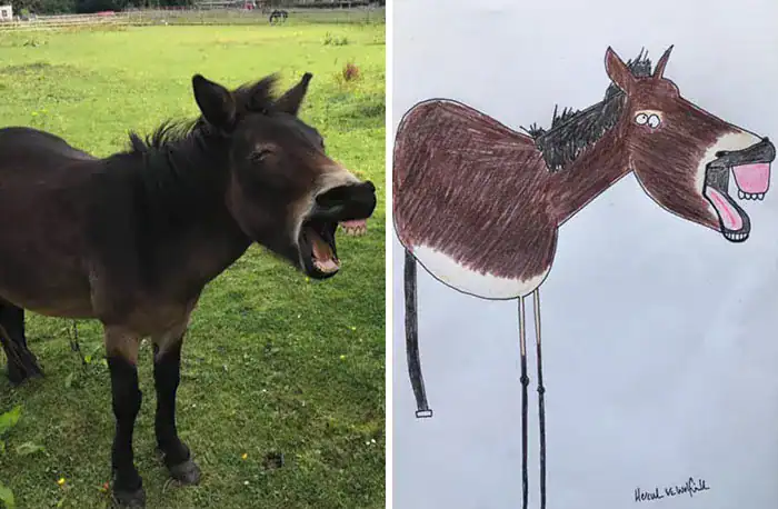 Laughing donkey photo compared to a screaming stick figure sketch in bad animal portraits.