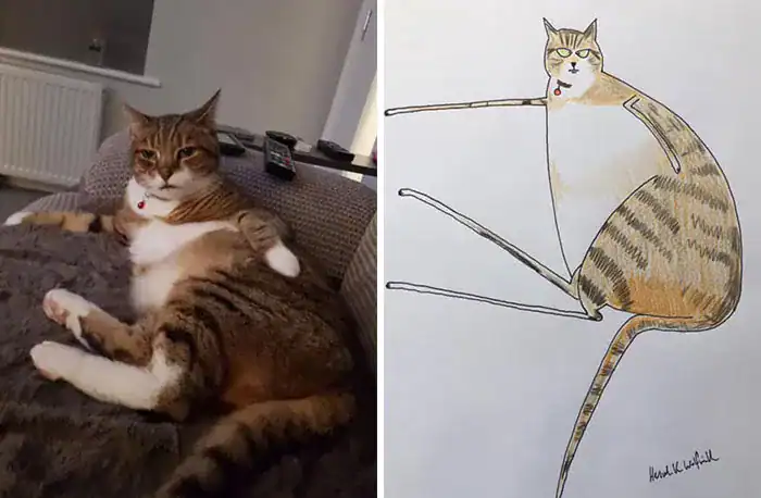Grumpy tabby cat sitting awkwardly next to a poorly drawn triangular caricature sketch.