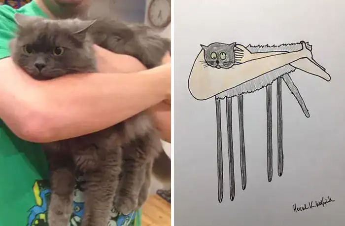Fluffy grey cat held by owner next to a rectangular stick figure drawing.