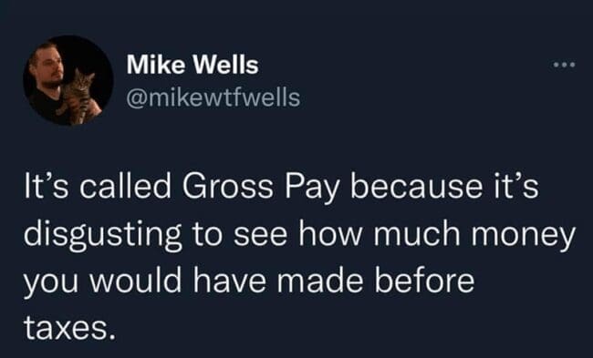 A financial meme tweet explaining that Gross Pay is called that because it is disgusting to see taxes taken out.