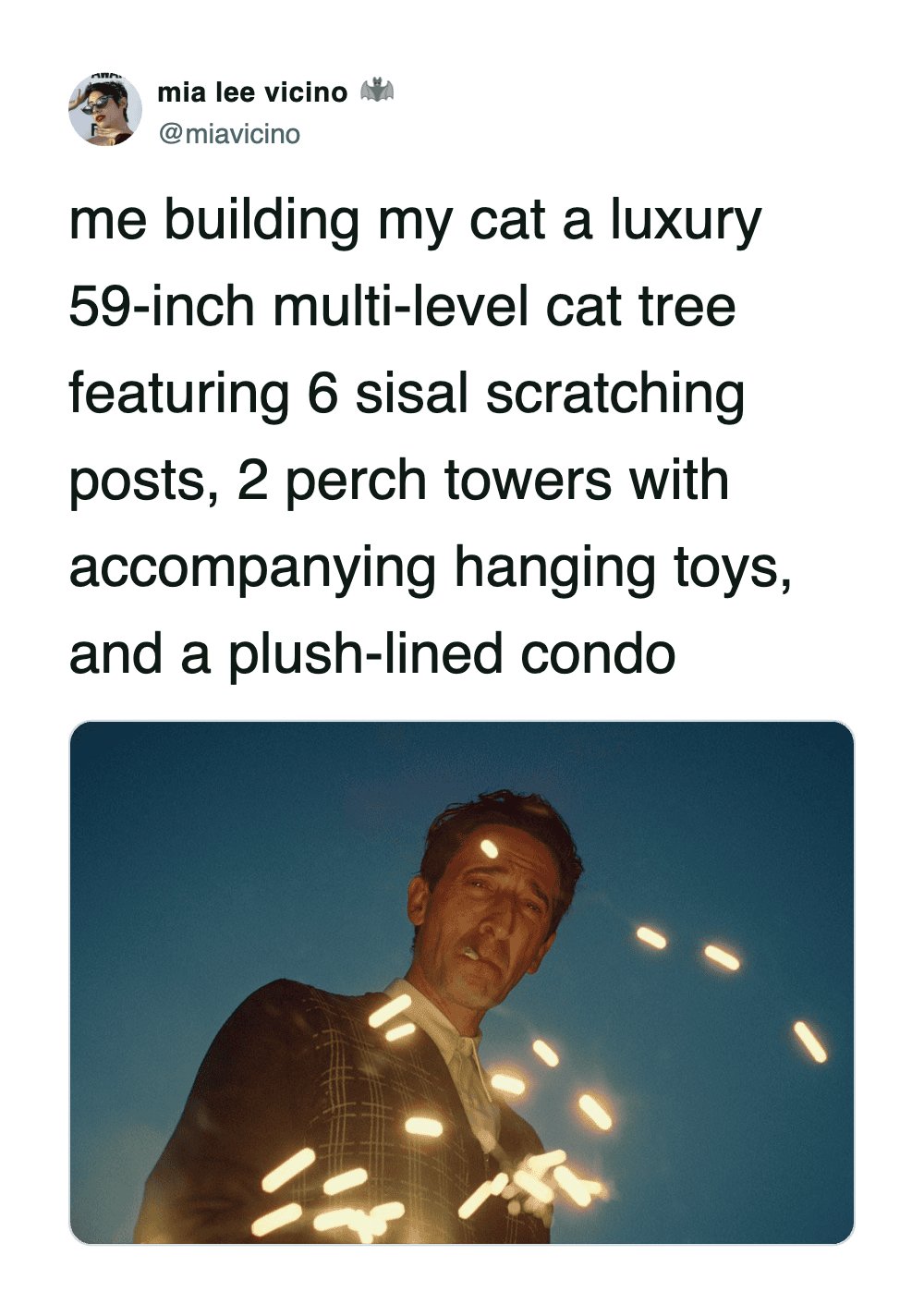 A cat meme using an image of Adrien Brody welding to represent the intense effort of building a complex cat tree.