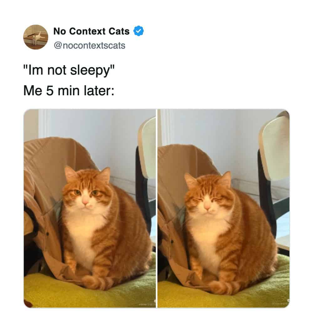 A cat meme comparing a wide-eyed orange cat saying "I'm not sleepy" to the same cat squinting five minutes later.