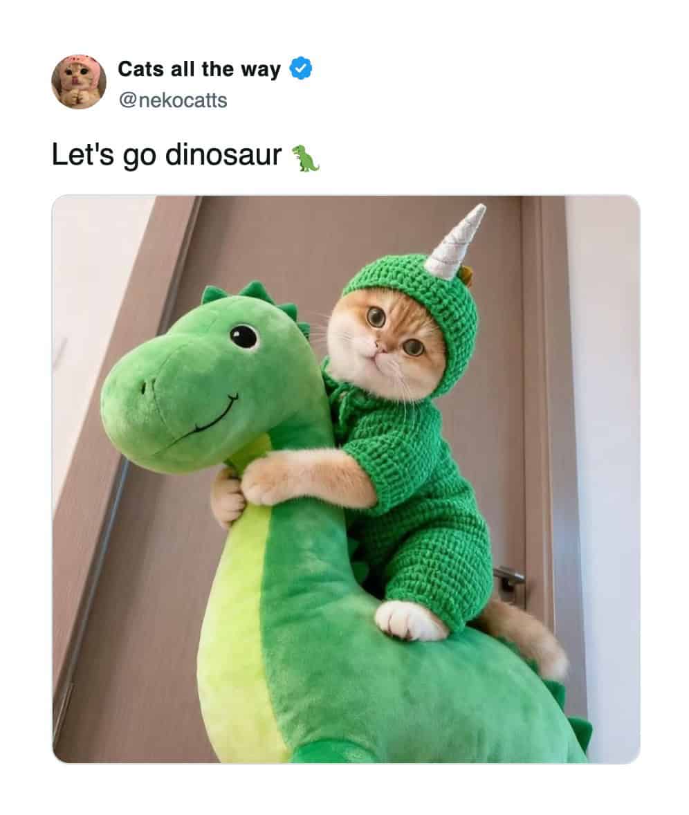 A cat meme of a kitten wearing a knitted dinosaur costume hugging a green dinosaur plush toy.