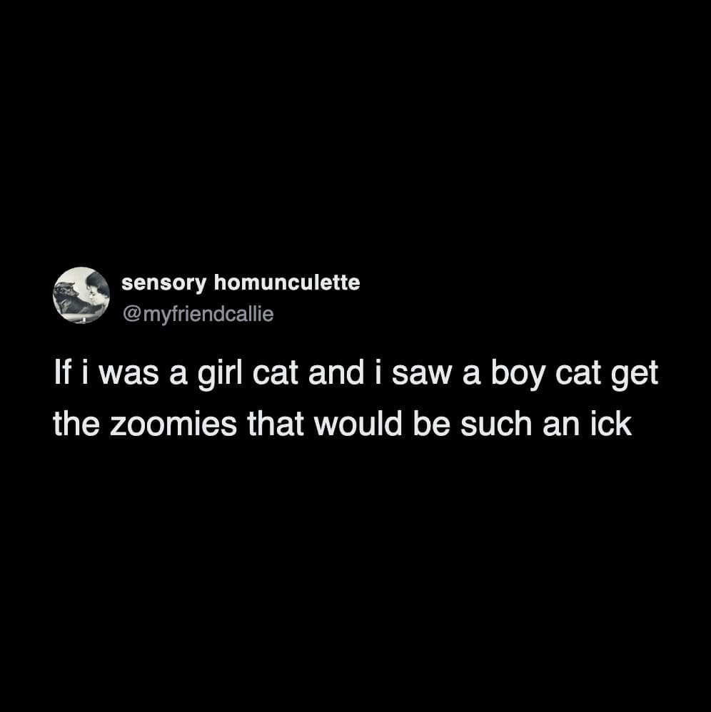 A funny cat tweet joking that a girl cat would get the "ick" if she saw a boy cat doing zoomies.