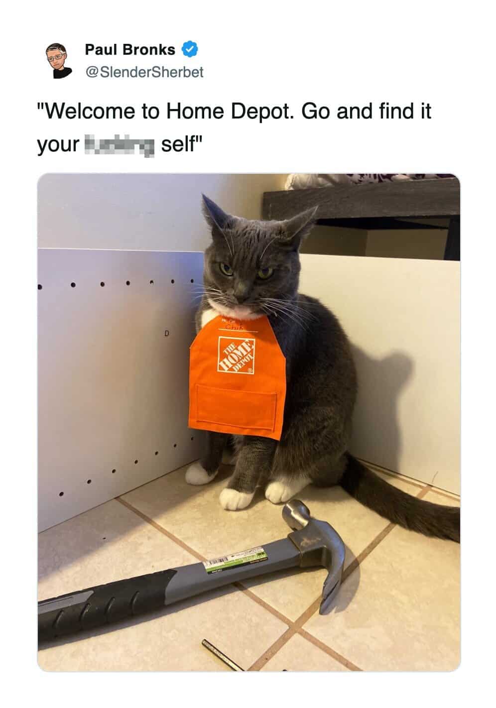 A cat meme of a grumpy grey cat wearing a Home Depot apron sitting next to a hammer.