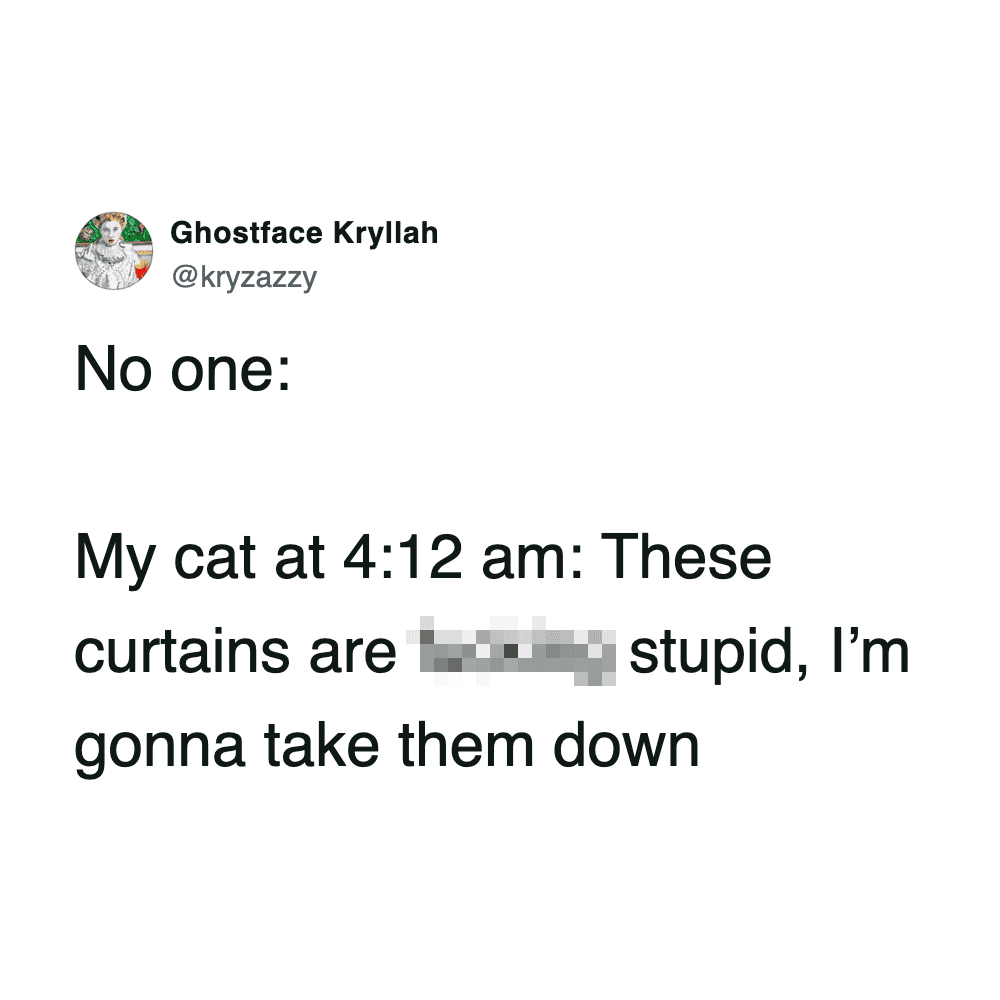 A funny cat tweet about a cat deciding at 4:12 am that the curtains are stupid and must be destroyed.