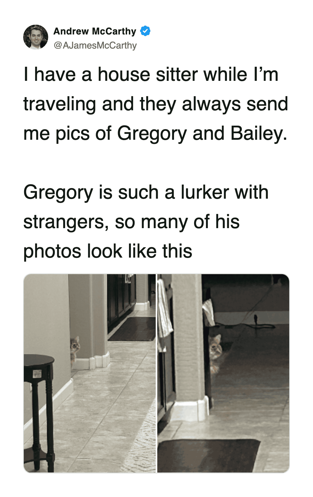 A cat meme showing a cat named Gregory peeking suspiciously from behind a wall in two different photos.