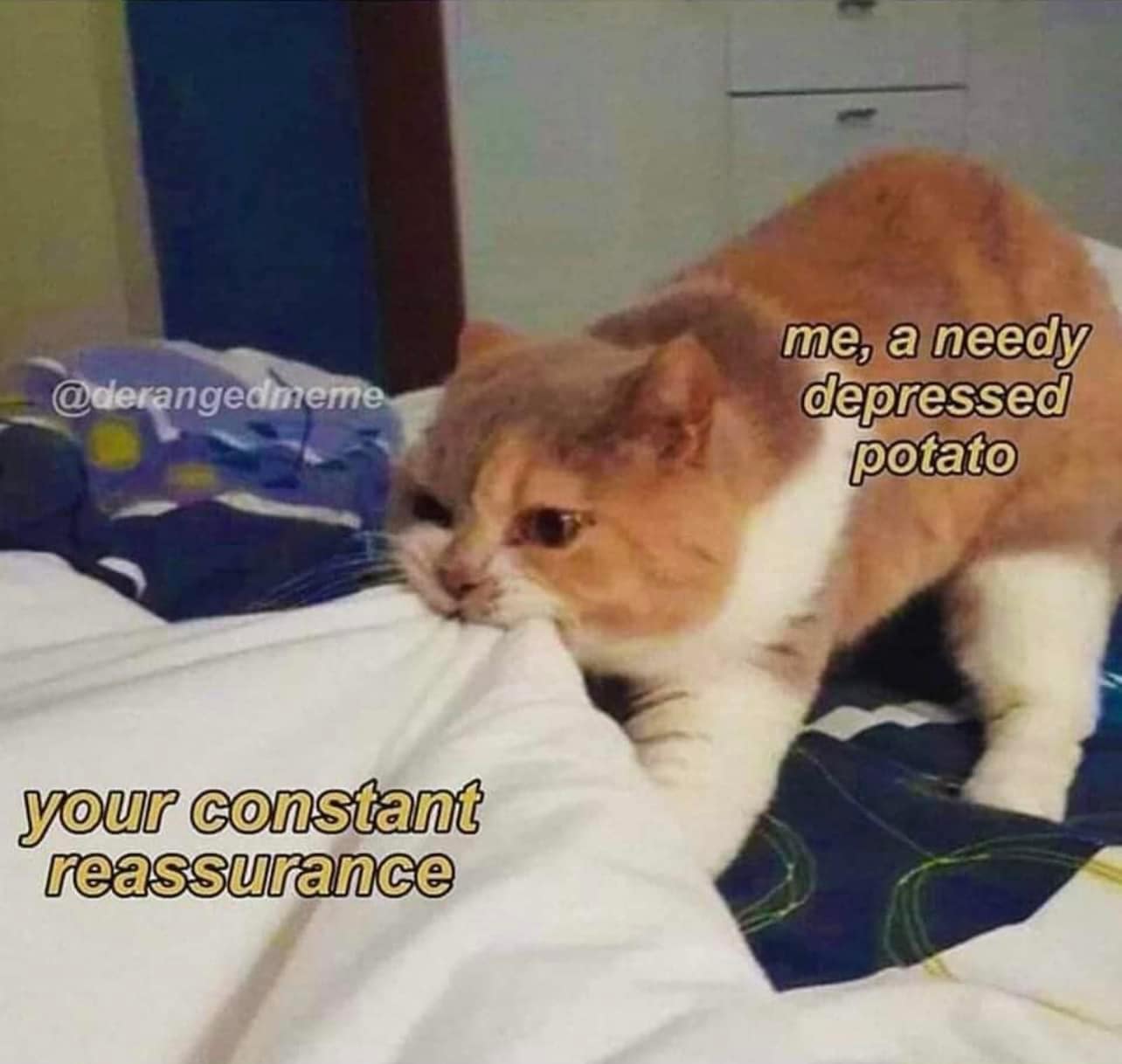 A classic meme of a cat biting a blanket captioned me a needy depressed potato needing reassurance.
