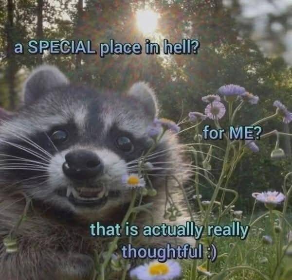 Classic meme of a raccoon smiling in flowers with the caption about a special place in hell being thoughtful.