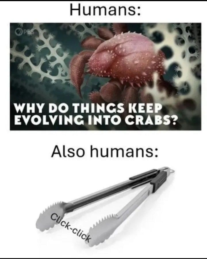 A classic meme comparing the biological evolution of crabs to the human urge to click kitchen tongs twice.