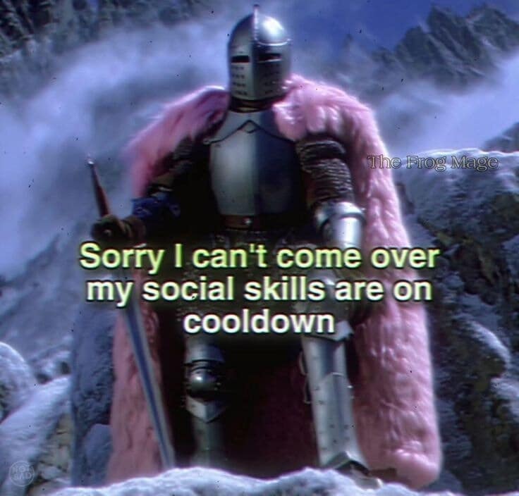 A knight in pink fur armor sitting down saying social skills are on cooldown.
